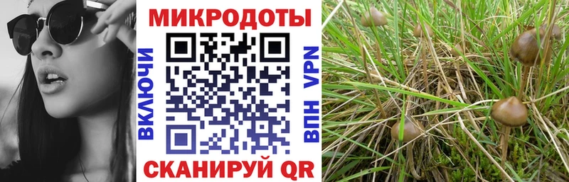 что такое наркотик  Абдулино  Галлюциногенные грибы ЛСД 